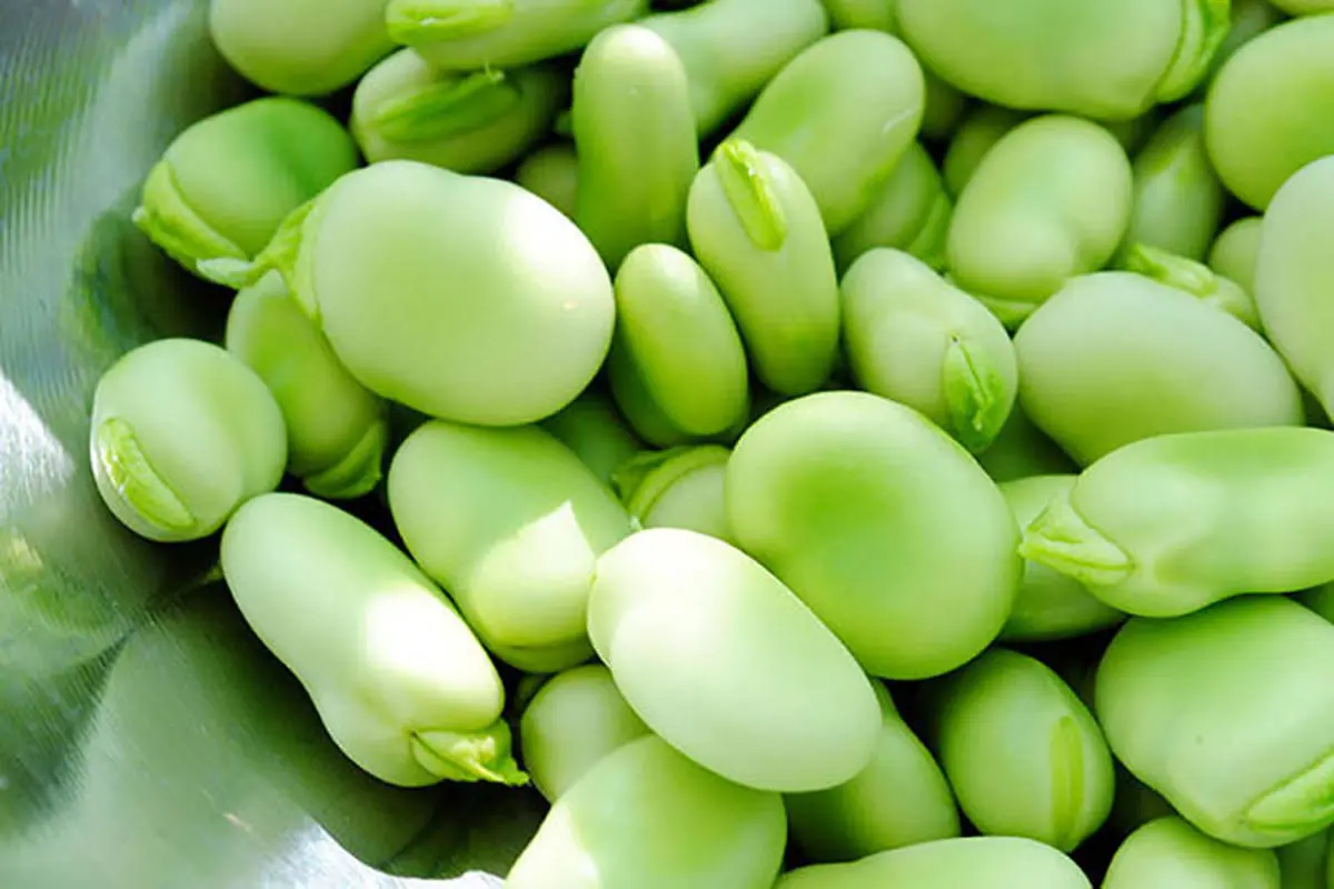 ترفند جادویی پاک کردن باقلا تو کسری از ثانیه | با این فرمول طلایی تا مدت ها باقلا سام و تاره میمونه